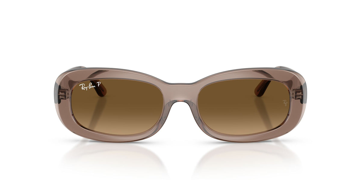 Ray Ban 0RB2221 6827M2 56 Brown/ Gradient Brown Polarized