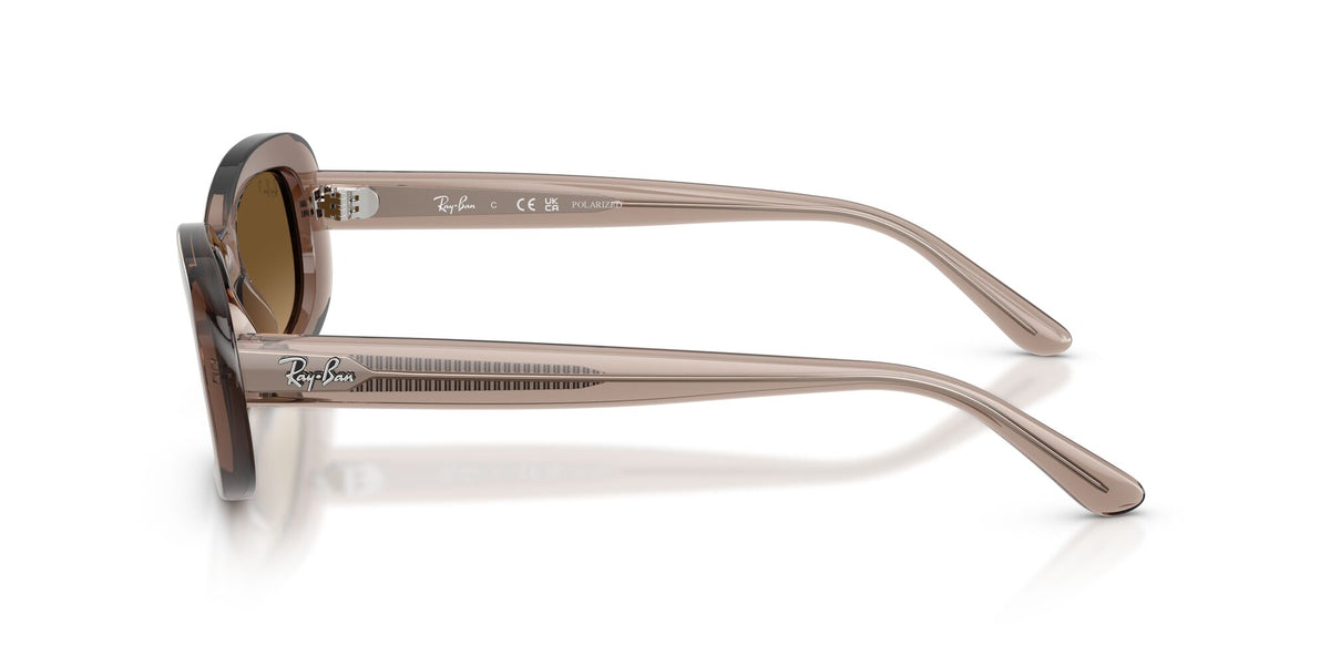 Ray Ban 0RB2221 6827M2 56 Brown/ Gradient Brown Polarized