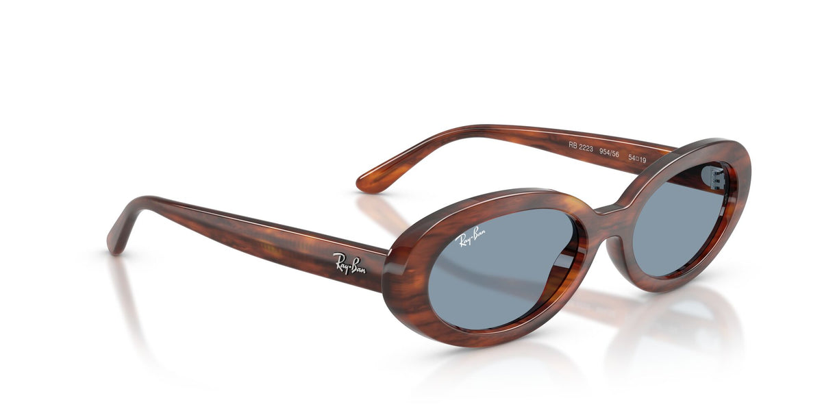 Ray-Ban 0RB22239545654 Striped Havana/ Blue