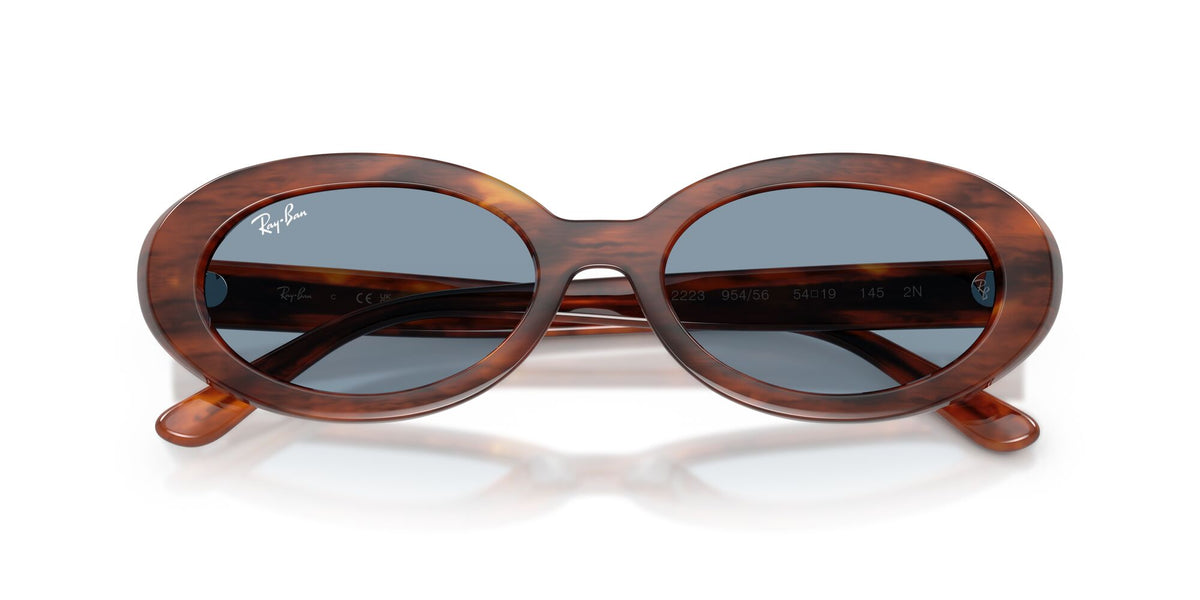 Ray-Ban 0RB22239545654 Striped Havana/ Blue