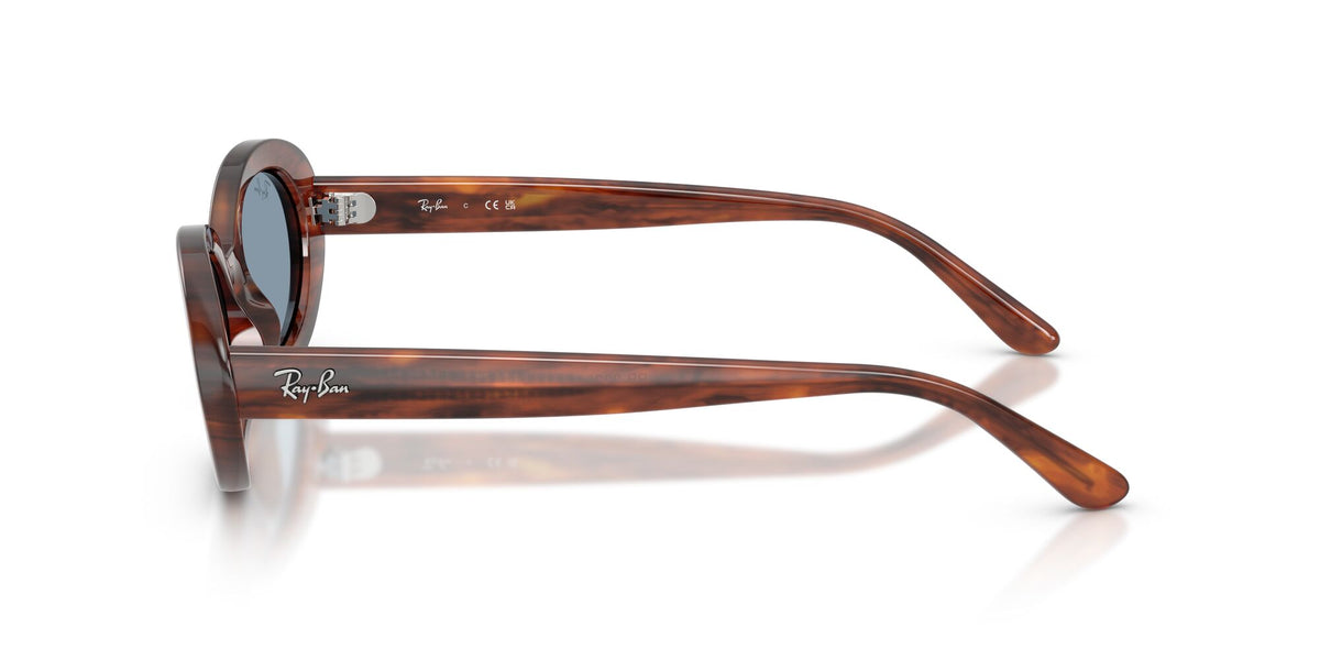 Ray-Ban 0RB22239545654 Striped Havana/ Blue
