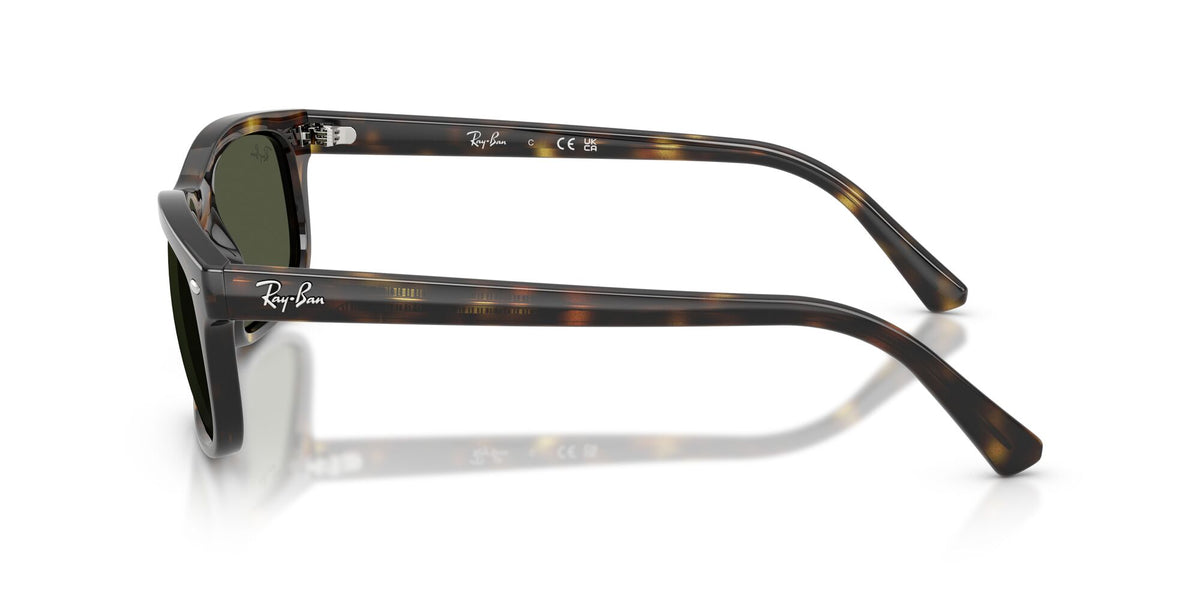 Ray-Ban 0RB22247103160 Havana/ Green
