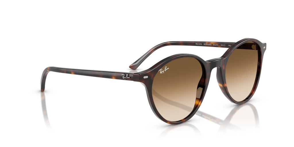 Ray-Ban Bernard 0RB2230 902/51 51 Havana/ Clear Gradient Brown