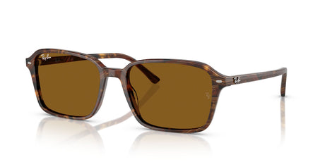 Ray-Ban Raimond 0RB2231F 141833 56 Transparent Fantasy Brown/ B-15 Brown