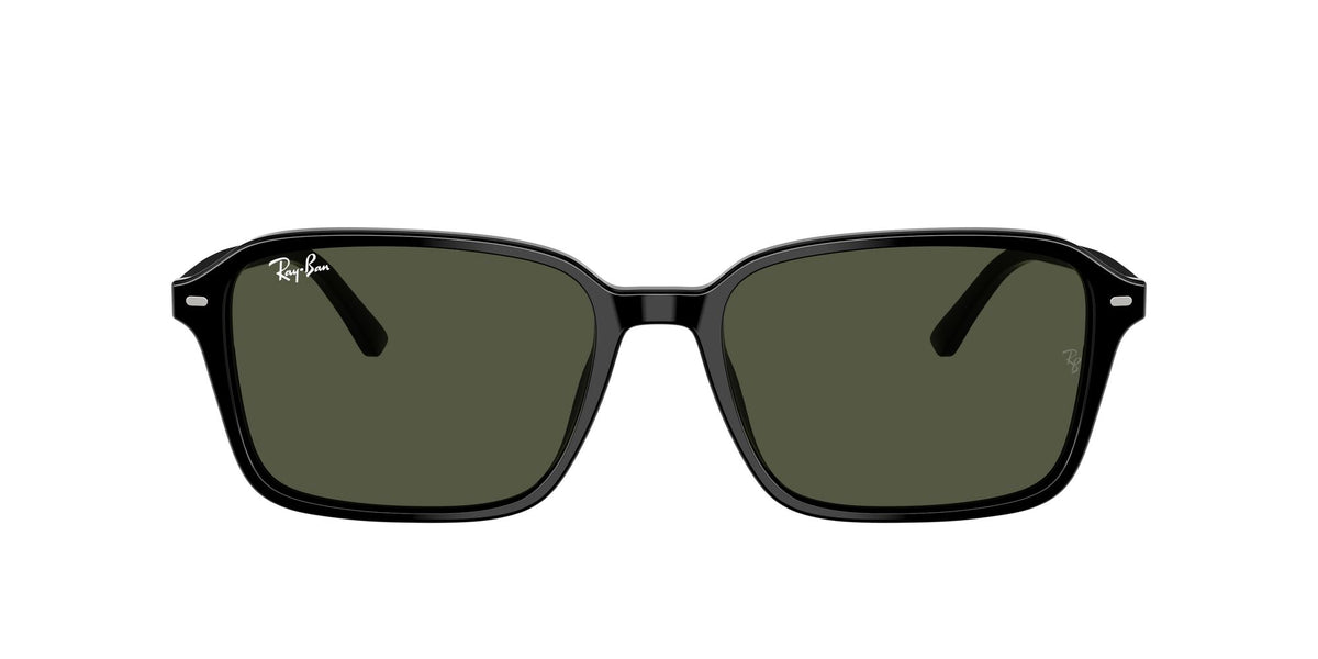 Ray-Ban Raimond 0RB2231F 901/31 56 Black/ G-15 Green