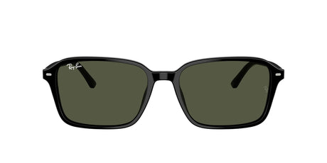 Ray-Ban Raimond 0RB2231F 901/31 56 Black/ G-15 Green