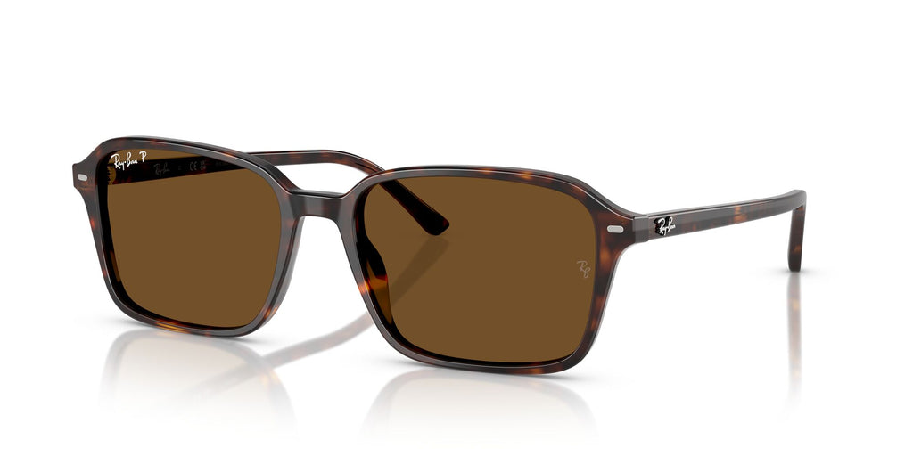 Ray-Ban Raimond 0RB2231 902/57 58 Havana/ B-15 Brown