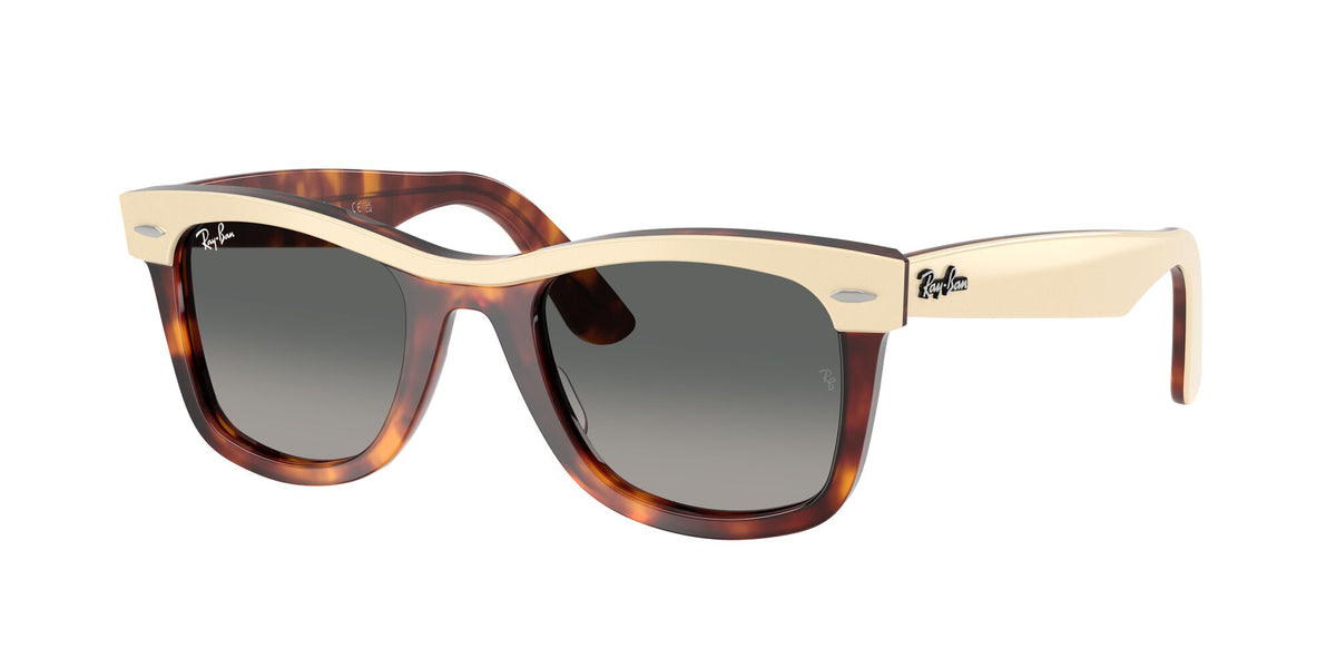 Ray Ban 0RB2240 144371 50 Brown/ Gradient Grey