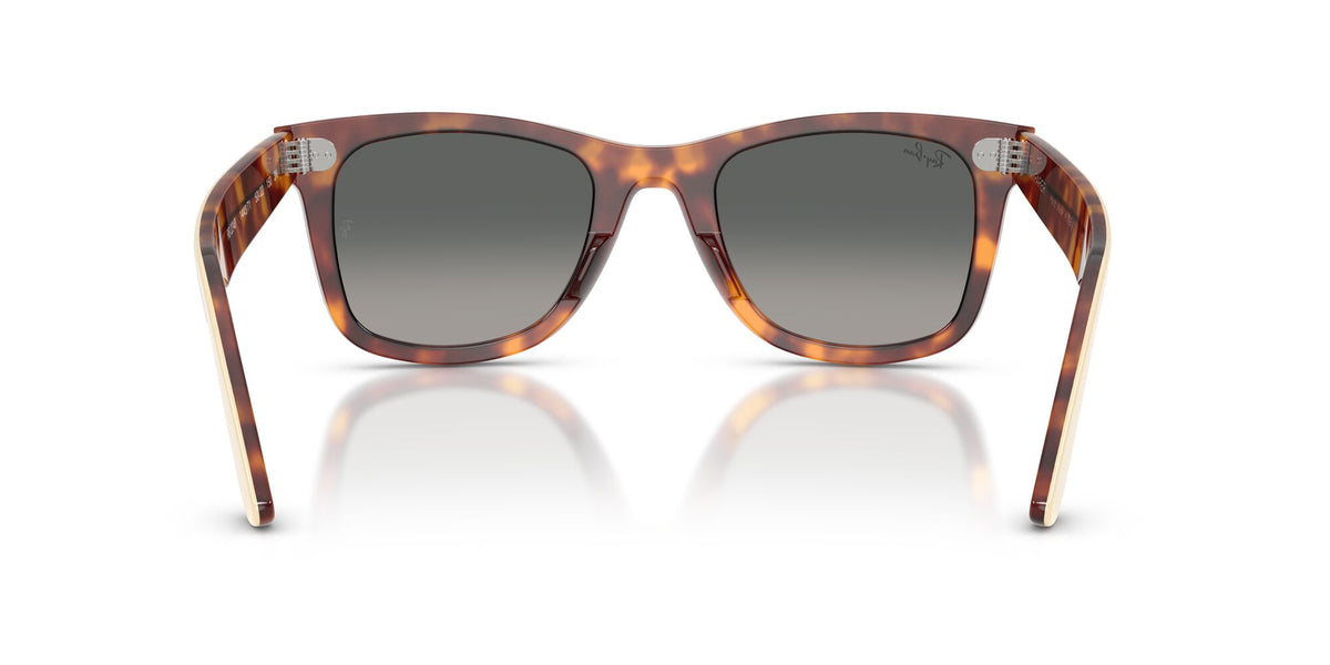 Ray Ban 0RB2240 144371 50 Brown/ Gradient Grey