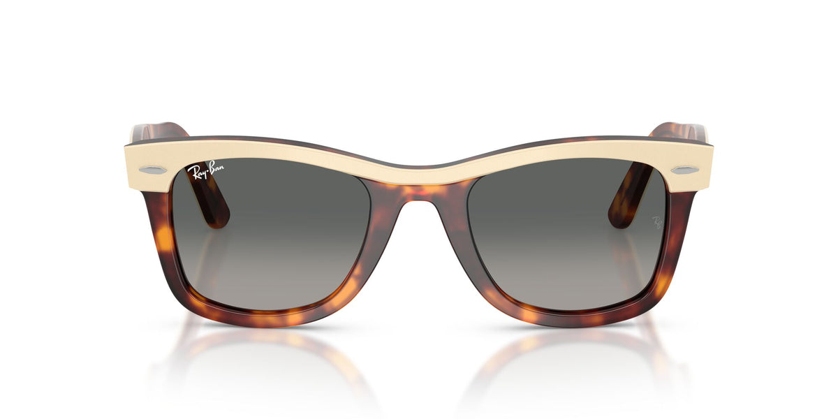 Ray Ban 0RB2240 144371 50 Brown/ Gradient Grey