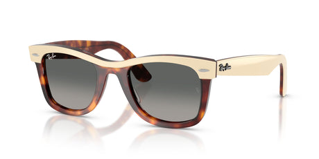 Ray Ban 0RB2240 144371 50 Brown/ Gradient Grey