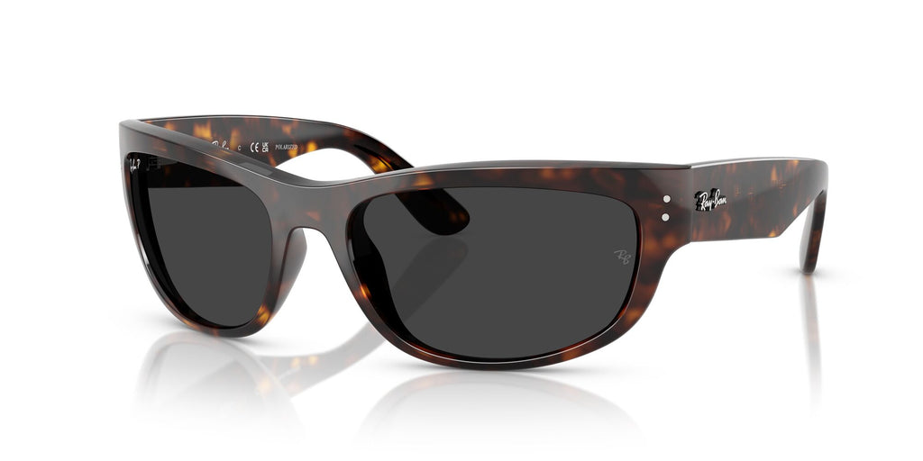 Ray-Ban Mega Balorama 0RB2289 902/48 63 Havana/ Polarised Black