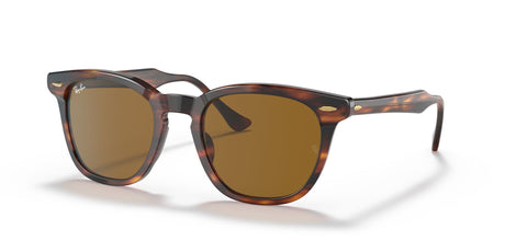 RB 2298F Ray-Ban Hawkeye Transparent Blue / Brown 54 54 / Crystal / Acetate / Acetate
