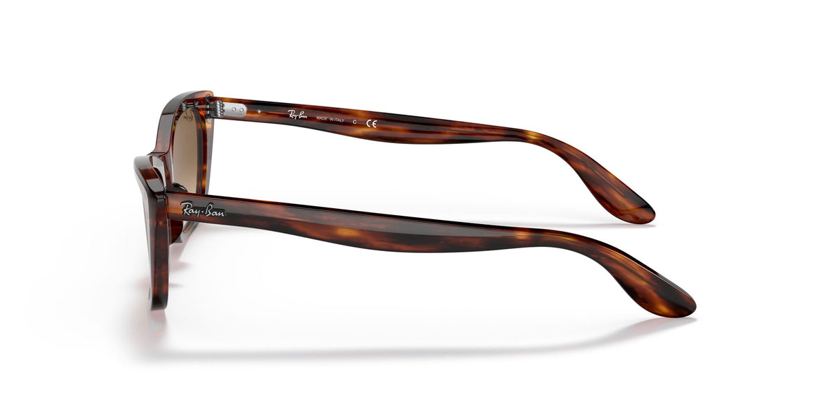 Ray-Ban Lady Burbank 0RB2299 954/51 55 Striped Havana/ Clear/Brown 55 / Crystal / Acetate / Acetate