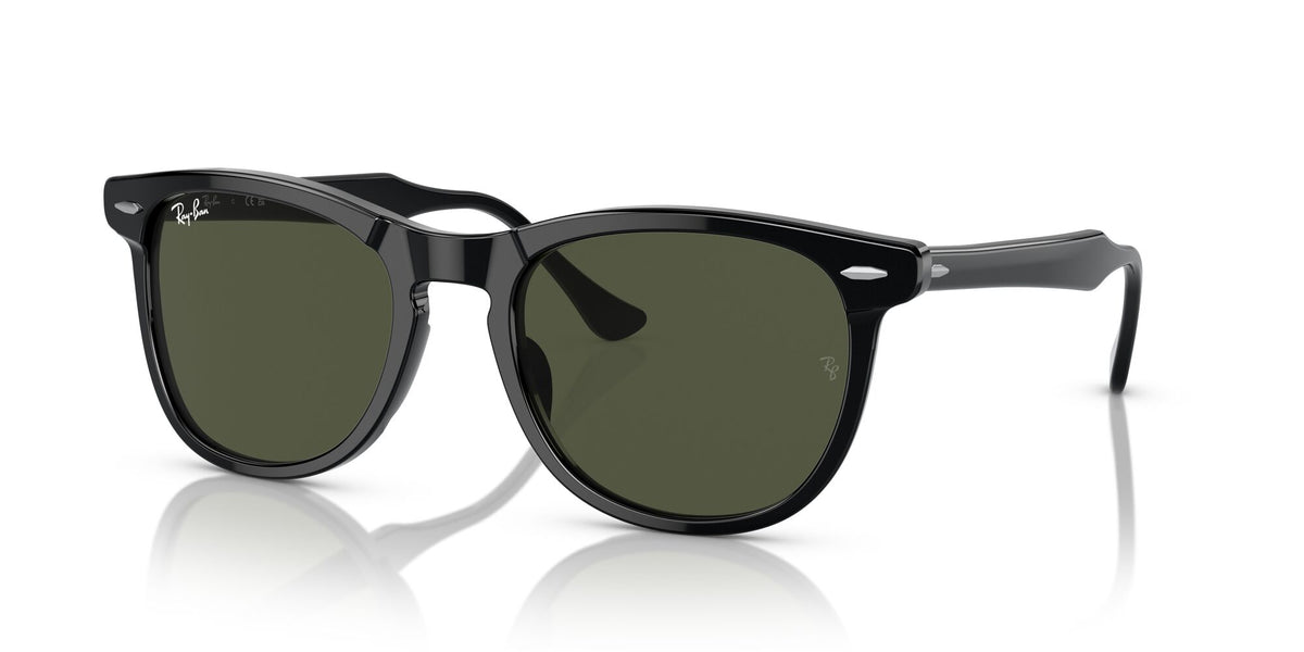 Ray-Ban Eagleeye 0RB2398F 901/31 53 Black/ Green 53 / Crystal / Acetate / Acetate