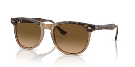 Ray-Ban Eagleeye 0RB2398 1292M2 53 Havana On Transparent Brown/ Brown