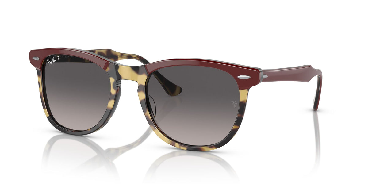 Ray-Ban Eagleeye 0RB2398 1377M3 56 Bordeaux On Yellow Havana/ Grey 56 / Crystal / Acetate / Acetate