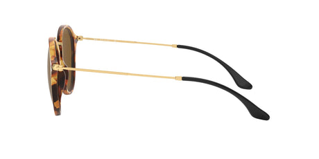 Ray-Ban Round 0RB2447 1160 49 Brown Havana/ Brown 49 / Crystal / Acetate / Metal