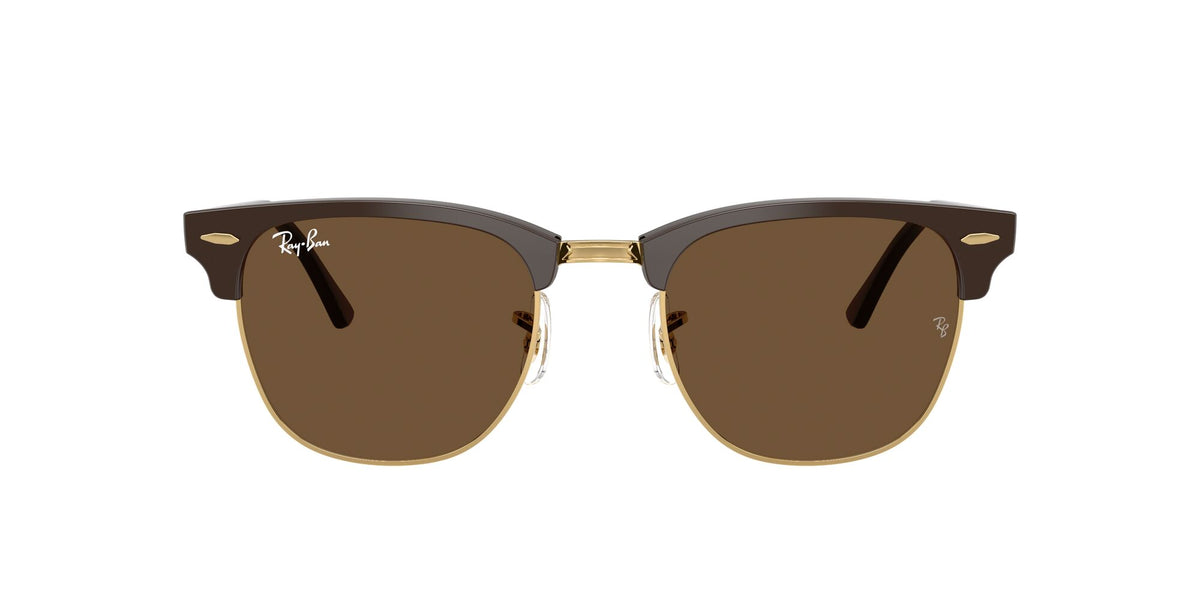 Ray-Ban 0RB301668785351 Brown & Gold/ Dark Brown