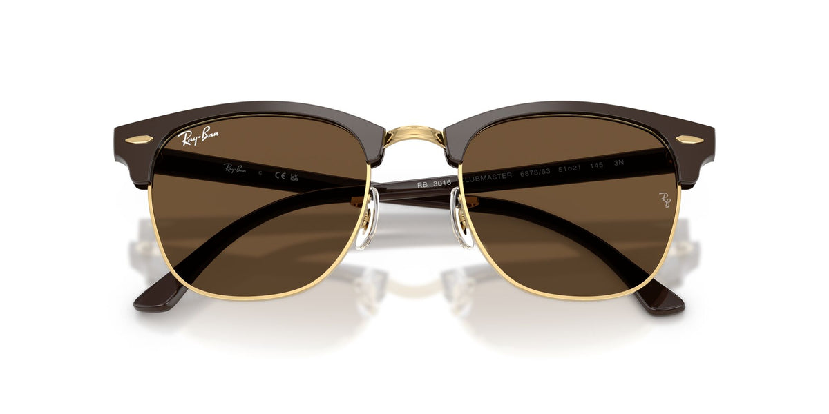 Ray-Ban 0RB301668785351 Brown & Gold/ Dark Brown