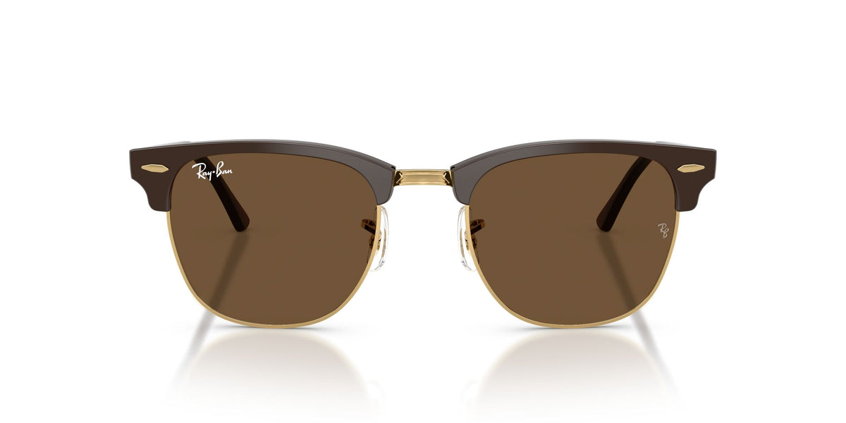 Ray-Ban 0RB301668785351 Brown & Gold/ Dark Brown