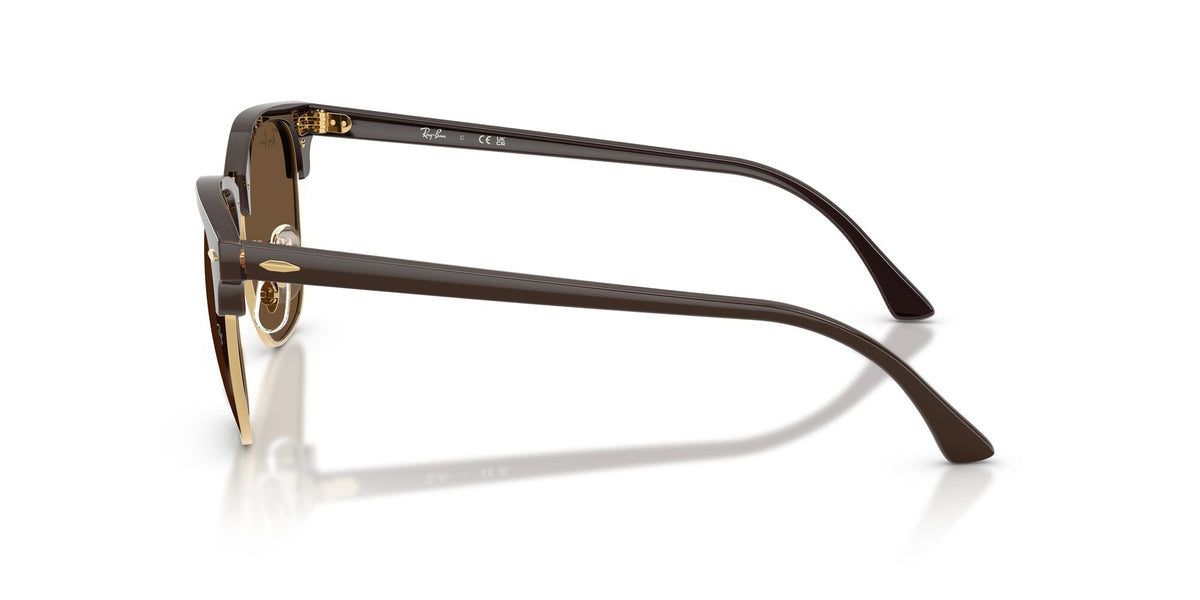 Ray-Ban 0RB301668785351 Brown & Gold/ Dark Brown