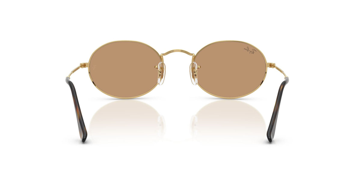 Ray-Ban Oval RB3547 001/53 51 Arista / Brown