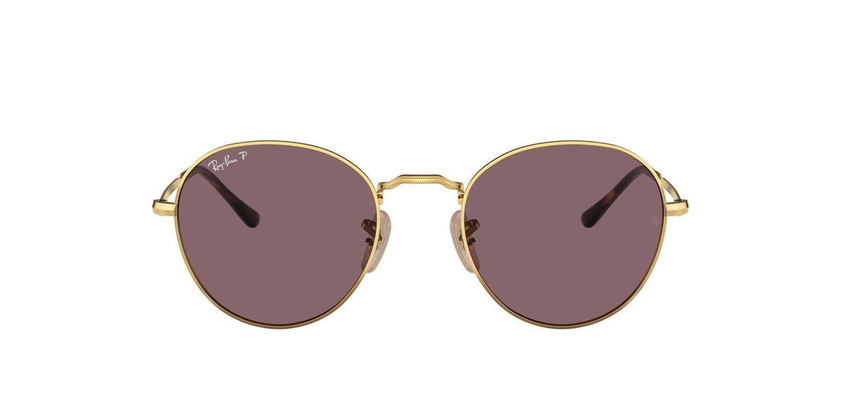 RB 3582 Ray-Ban David Gold / Dark Violet Polarised 51 51 / Crystal / Metal / Metal