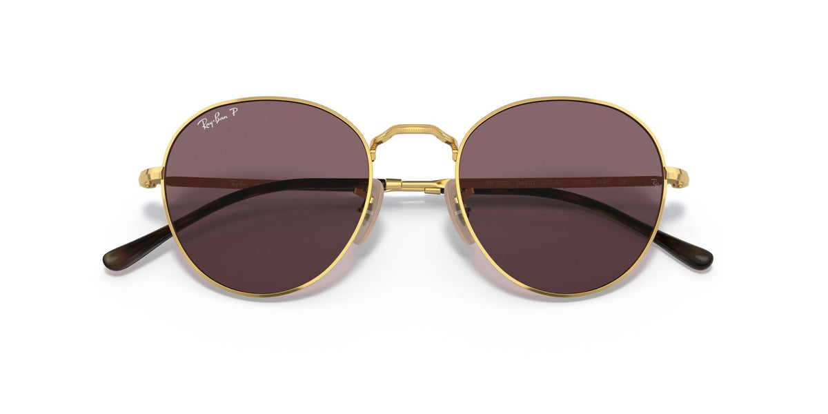 RB 3582 Ray-Ban David Gold / Dark Violet Polarised 51 51 / Crystal / Metal / Metal