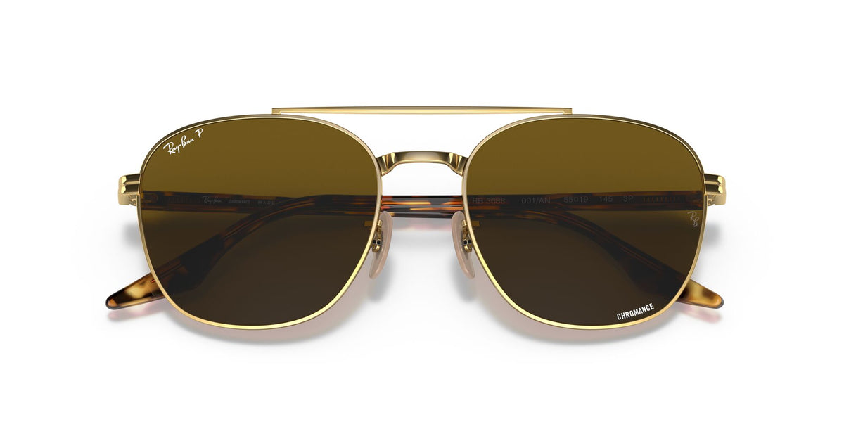 Ray-Ban0RB3688 001/AN 55 Gold/ Brown 55 / Crystal / Metal / Acetate