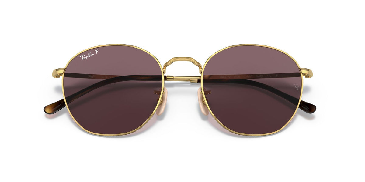 Ray-Ban Rob 0RB3772 001/AF 54 Gold/ Dark Violet