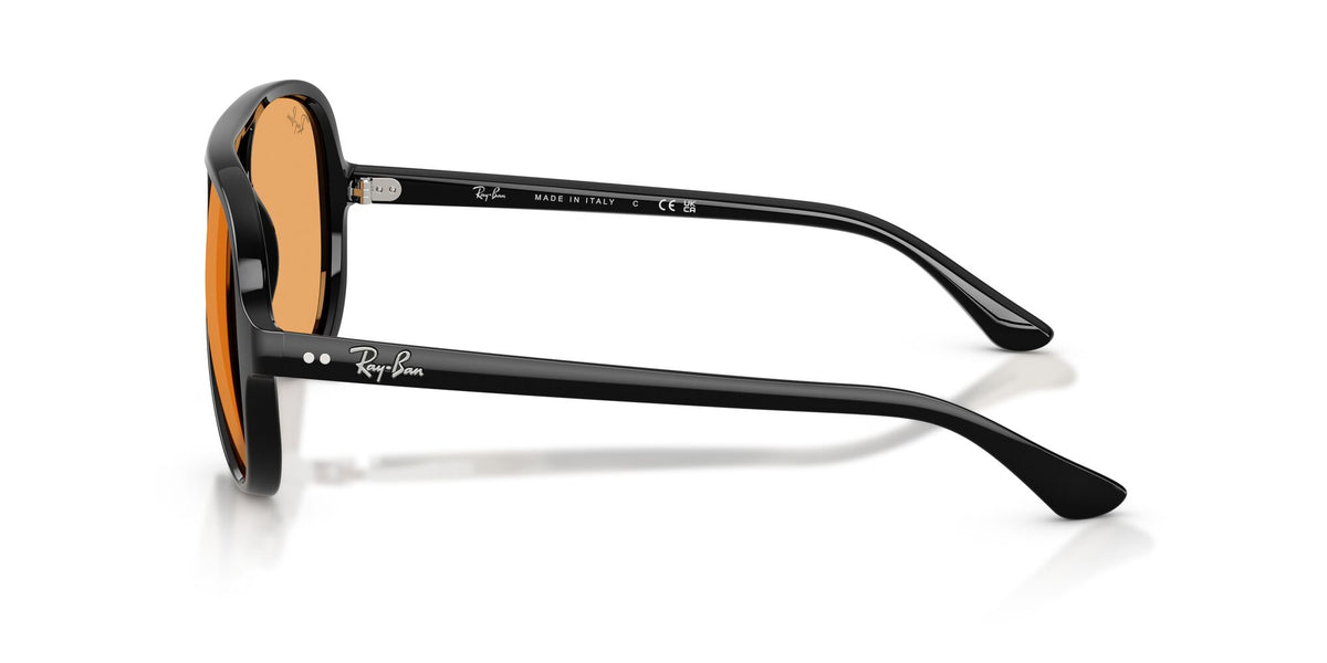 Ray-Ban 0RB41256013359 Black/ Orange