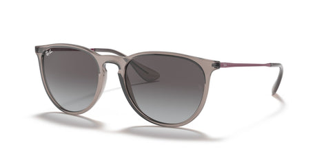 Ray-Ban Erika 0RB4171 65138G 54 Transparent Grey/ Light Grey Gradient Dark Grey 54 / Polycarbonate / Nylon / Metal