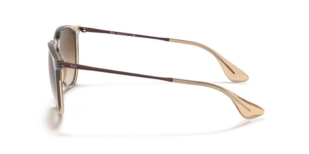 Ray-Ban Erika 0RB4171 651413 54 Transparent Brown/ Brown Gradient 54 / Polycarbonate / Nylon / Metal