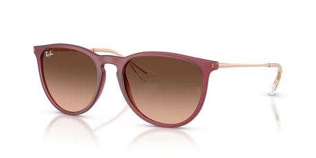 Ray-Ban Erika RB4171 6815A5 54 Rubber Violet / Pink Gradient Brown