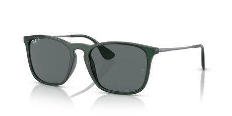 Ray-Ban Chris 0RB4187F 666381 54 Transparent Green/ Dark Grey 54 / Polycarbonate / Injected / Metal