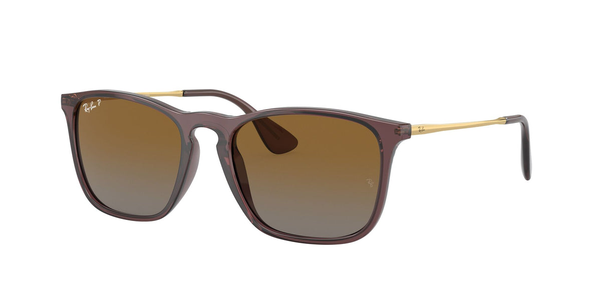 RB 4187F Ray-Ban Chris Transparent Brown / Brown 54 54 / Polycarbonate / Injected / Metal