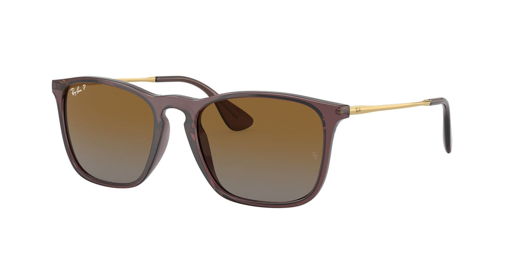 RB 4187F Ray-Ban Chris Transparent Brown / Brown 54 54 / Polycarbonate / Injected / Metal