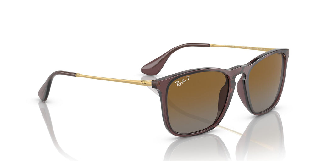 RB 4187F Ray-Ban Chris Transparent Brown / Brown 54 54 / Polycarbonate / Injected / Metal