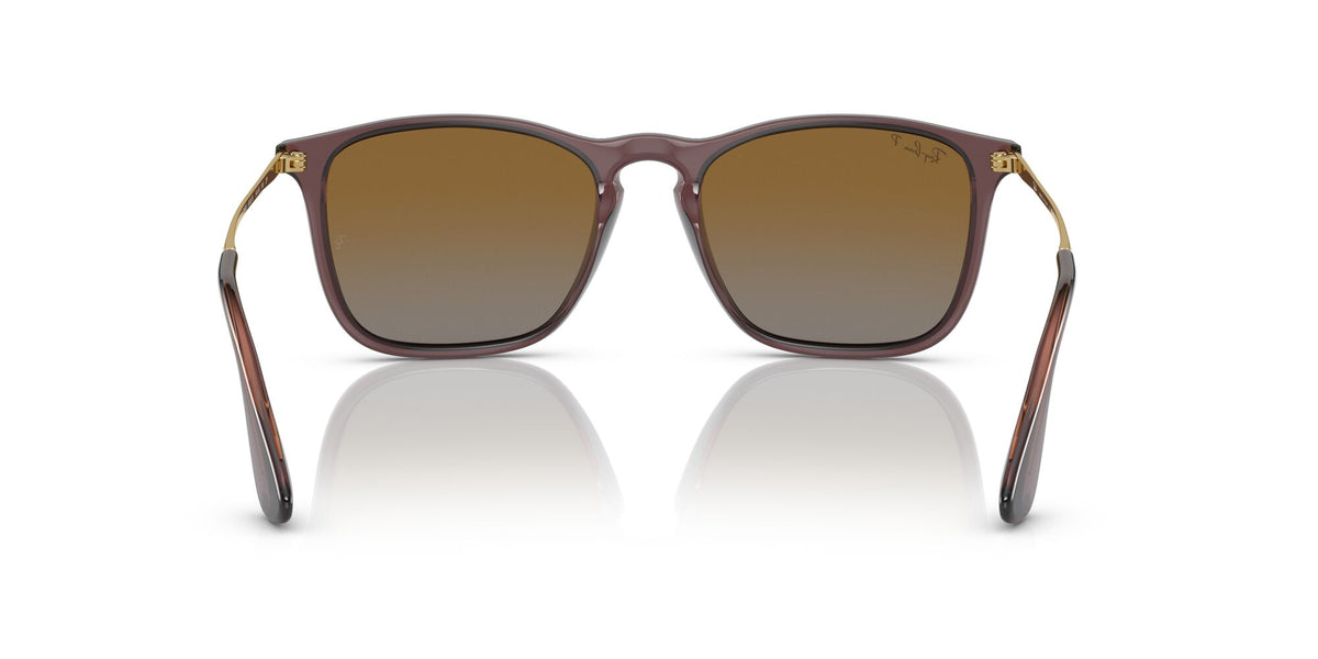 RB 4187F Ray-Ban Chris Transparent Brown / Brown 54 54 / Polycarbonate / Injected / Metal