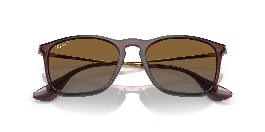 RB 4187F Ray-Ban Chris Transparent Brown / Brown 54 54 / Polycarbonate / Injected / Metal
