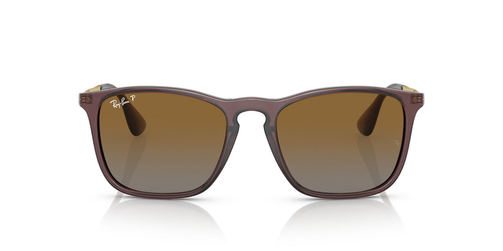 RB 4187F Ray-Ban Chris Transparent Brown / Brown 54 54 / Polycarbonate / Injected / Metal