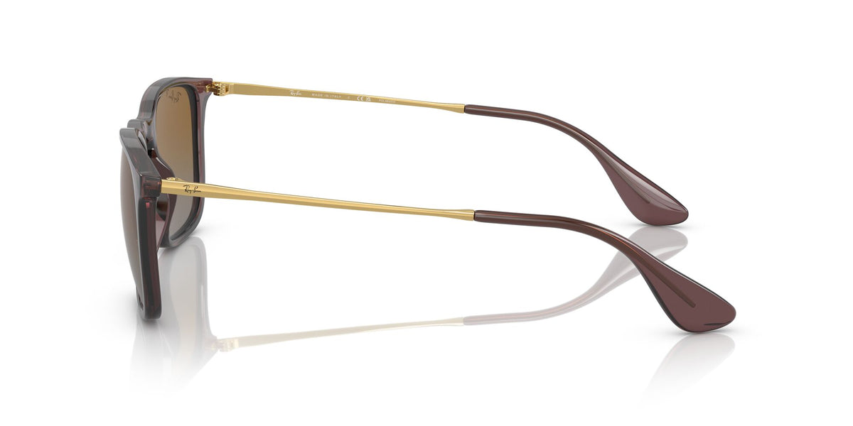 RB 4187F Ray-Ban Chris Transparent Brown / Brown 54 54 / Polycarbonate / Injected / Metal