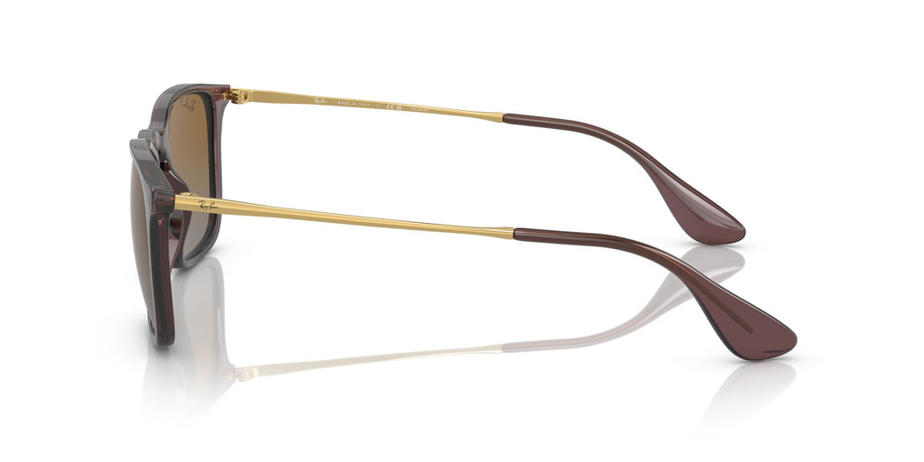 RB 4187F Ray-Ban Chris Transparent Brown / Brown 54 54 / Polycarbonate / Injected / Metal