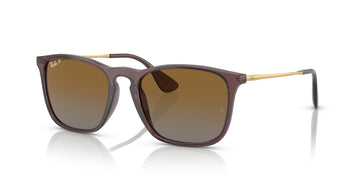 RB 4187F Ray-Ban Chris Transparent Brown / Brown 54 54 / Polycarbonate / Injected / Metal