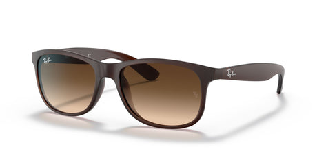 Ray-Ban Andy 0RB4202 607313 55 Brown/ Brown Gradient 55 / Polycarbonate / Nylon / Nylon