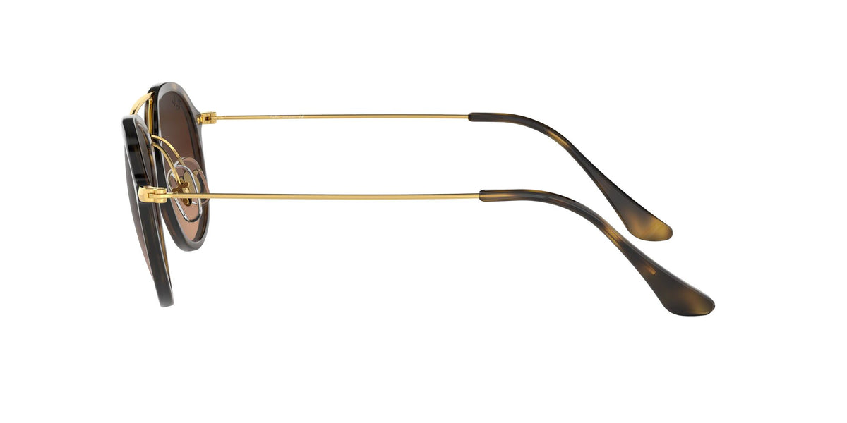 RB 4253 Ray-BanLight Havana / Pink/Brown Gradient 53 53 / Crystal / Propionate / Metal