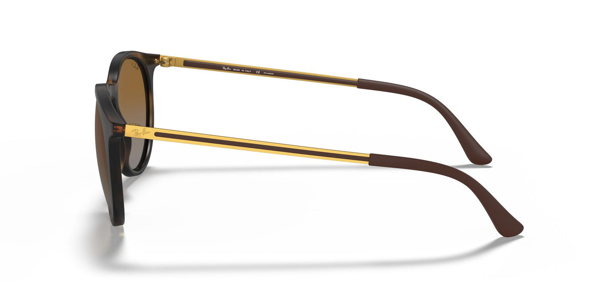 RB 4274 Ray-BanHavana / Polarised Brown Gradient 53 53 / Polycarbonate / Nylon / Injected