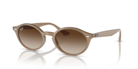 Ray-Ban  0RB4315 616613 51 Turtledove/ Brown 51 / Polycarbonate / Nylon / Propionate