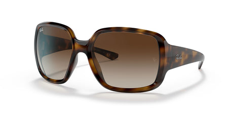 Ray-Ban Powderhorn 0RB4347 710/13 60 Havana/ Brown Gradient Dark Brown 60 / Polycarbonate / Nylon / Nylon